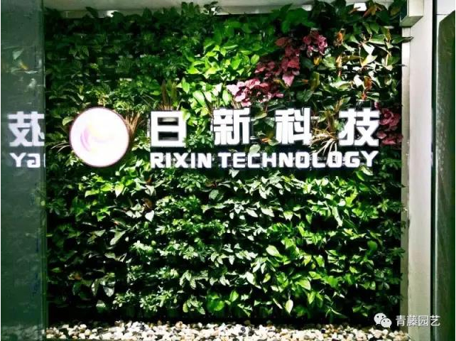 漯河河南日新科技有限公司形象墙
