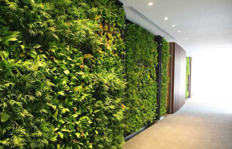 室内漯河立体绿化墙怎么做？