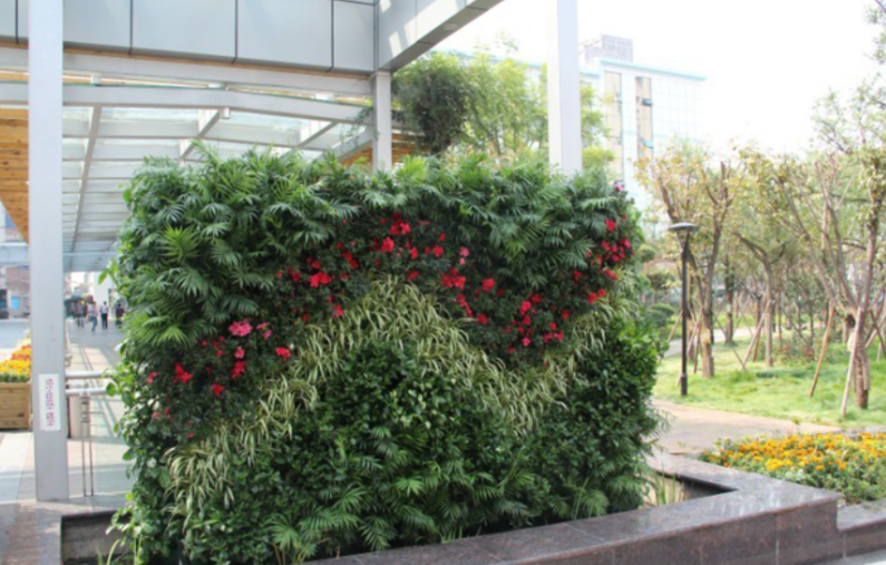 漯河垂直绿化植物墙展现的独特美！